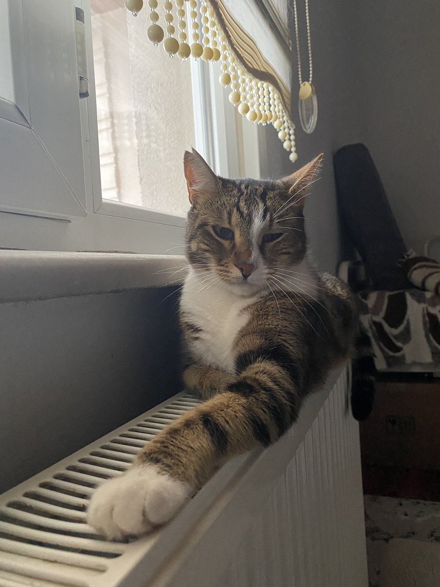 Şu fizik şu bakış şu duruş hiç birinde yok 
Hop dedik bir es dedik! Bu kadarını da pes dedik 👐🏻✨🙂‍↔️🎀