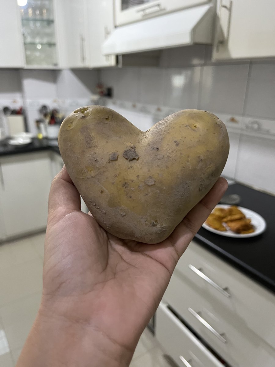 Ariba Shahid tweet media