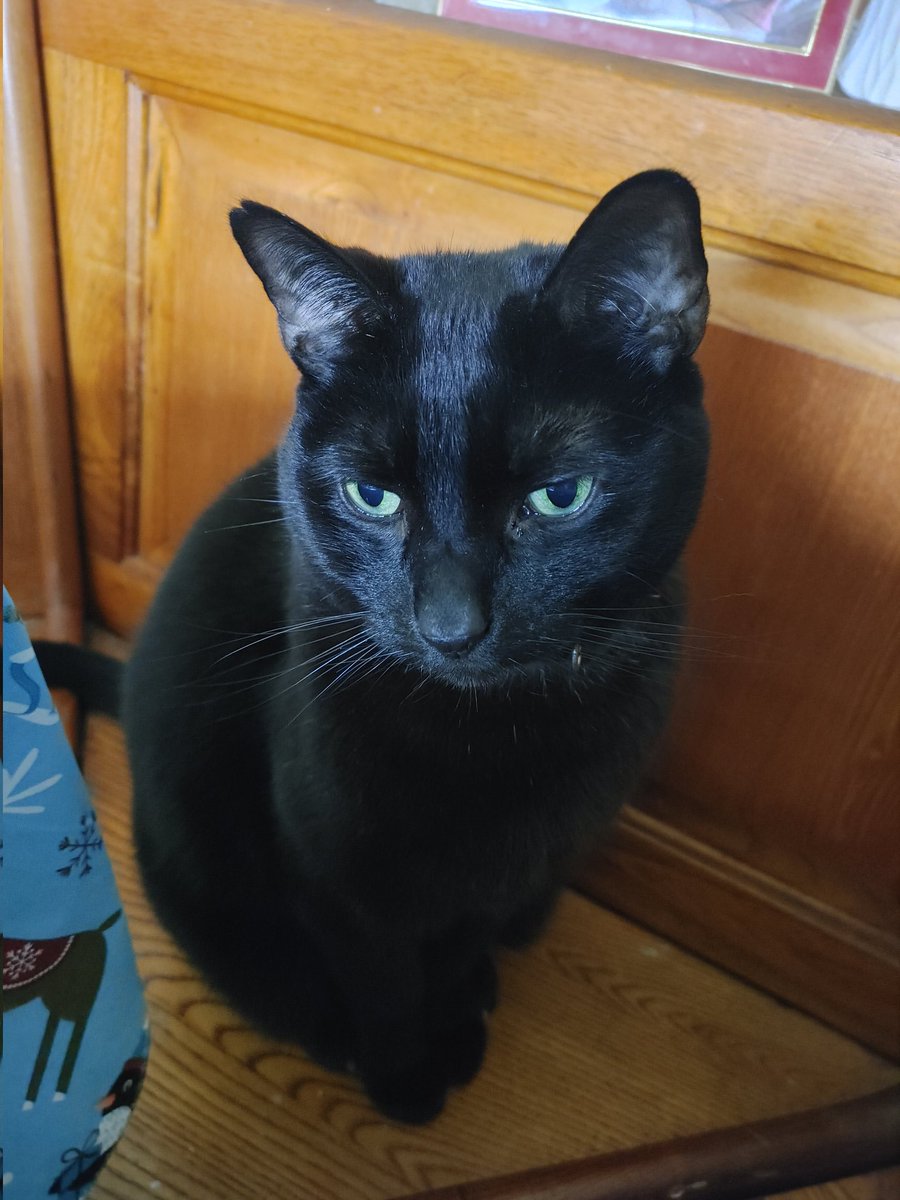 Ben Krehbiel tweet media