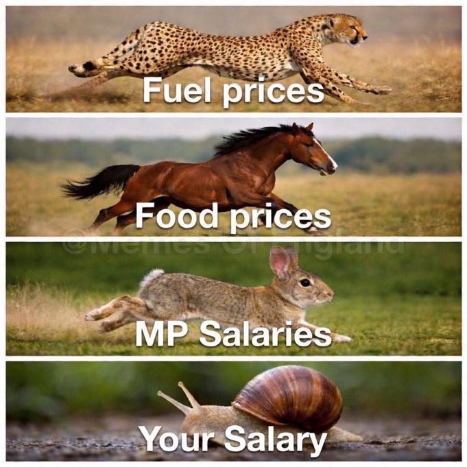 Stephen Carl tweet media