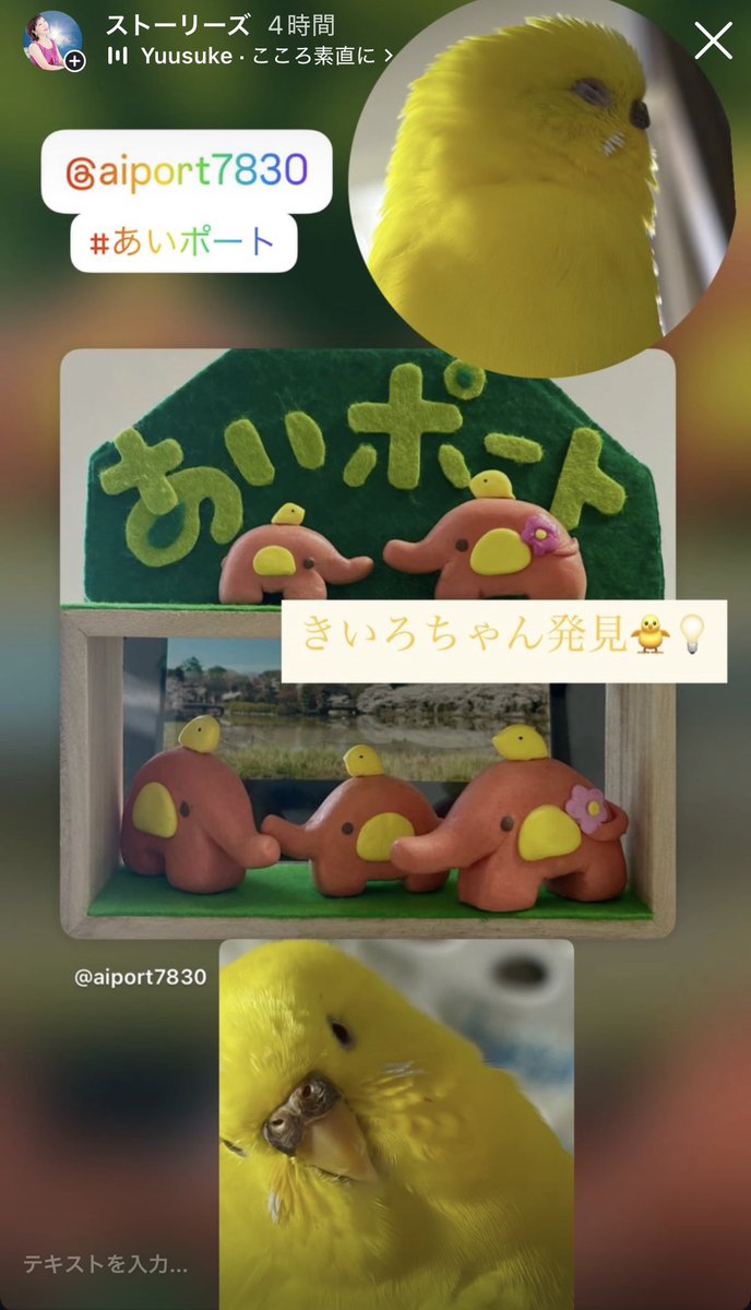 きいろちゃん発見🐥💡✨
#あいポート
#被害者サポートセンターあいち