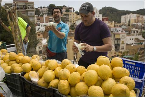 Zappa ۞ tweet media