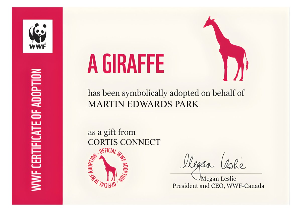 CORTIS CONNECT tweet media