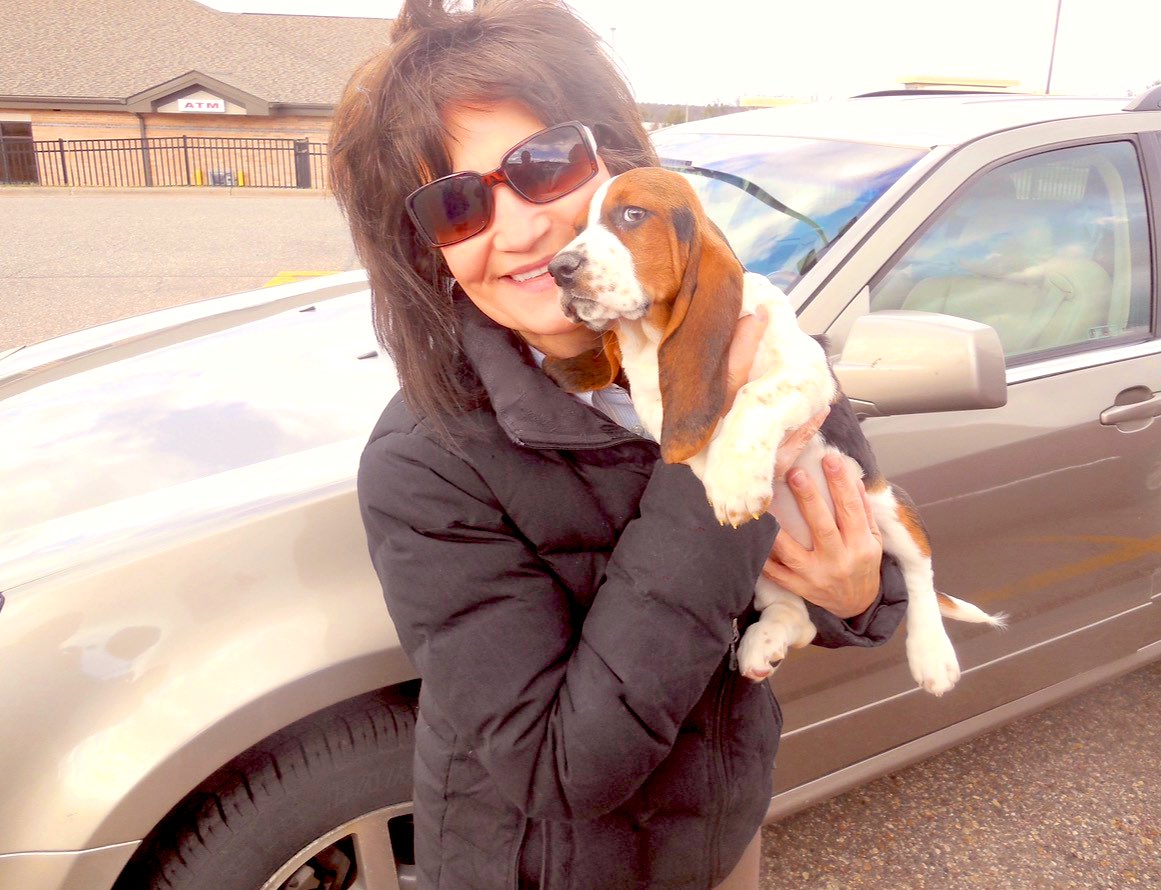 Mockler Bassets tweet media