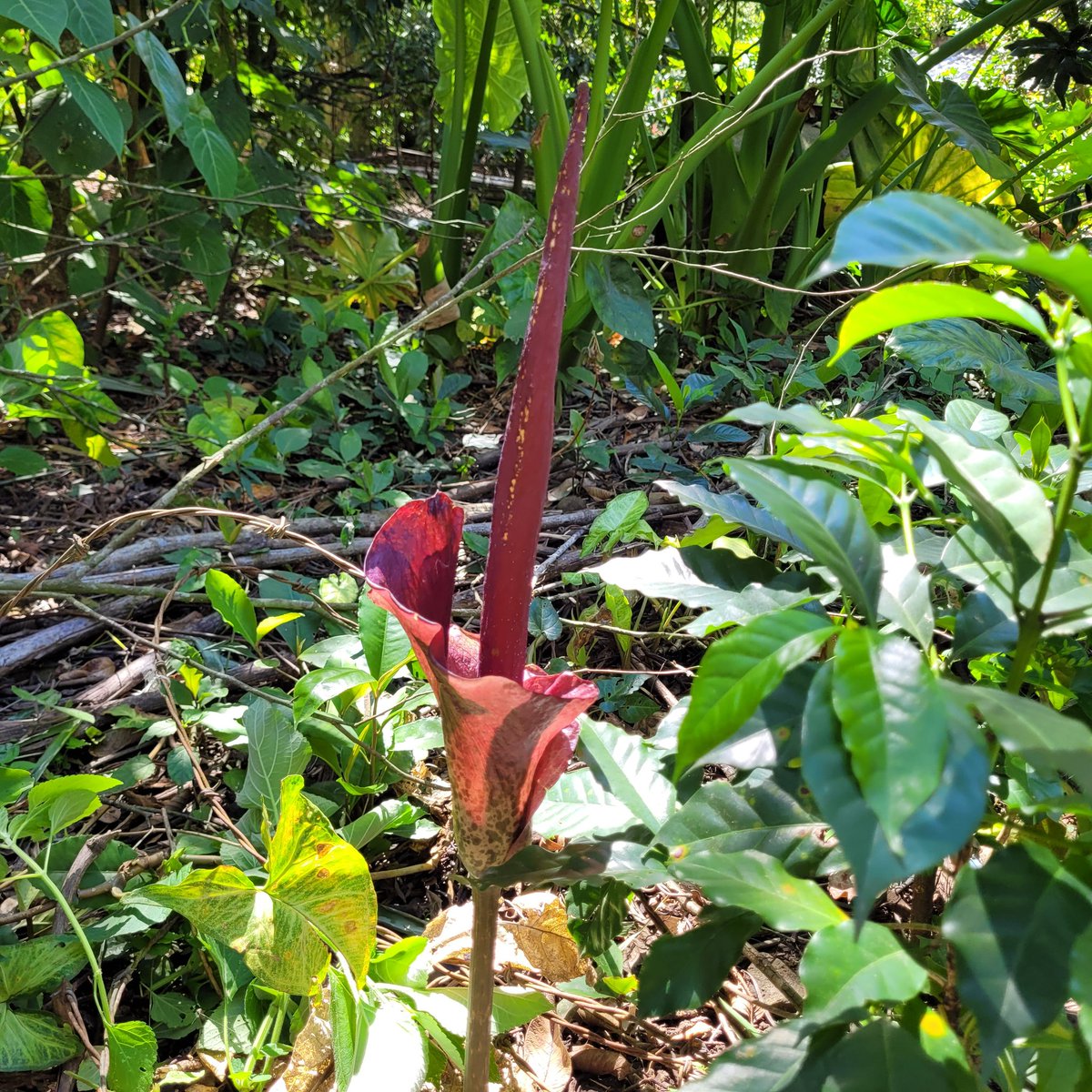EricksonEsau's tweet photo. El veneno del enfado , resentido o con miedo.. es suicidio https://t.co/8pvgT5LUoY