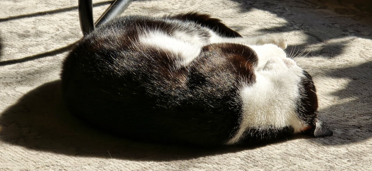 Anke 🎗🇳🇱 tweet media