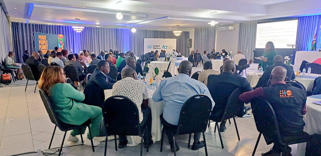 UN Zimbabwe tweet media