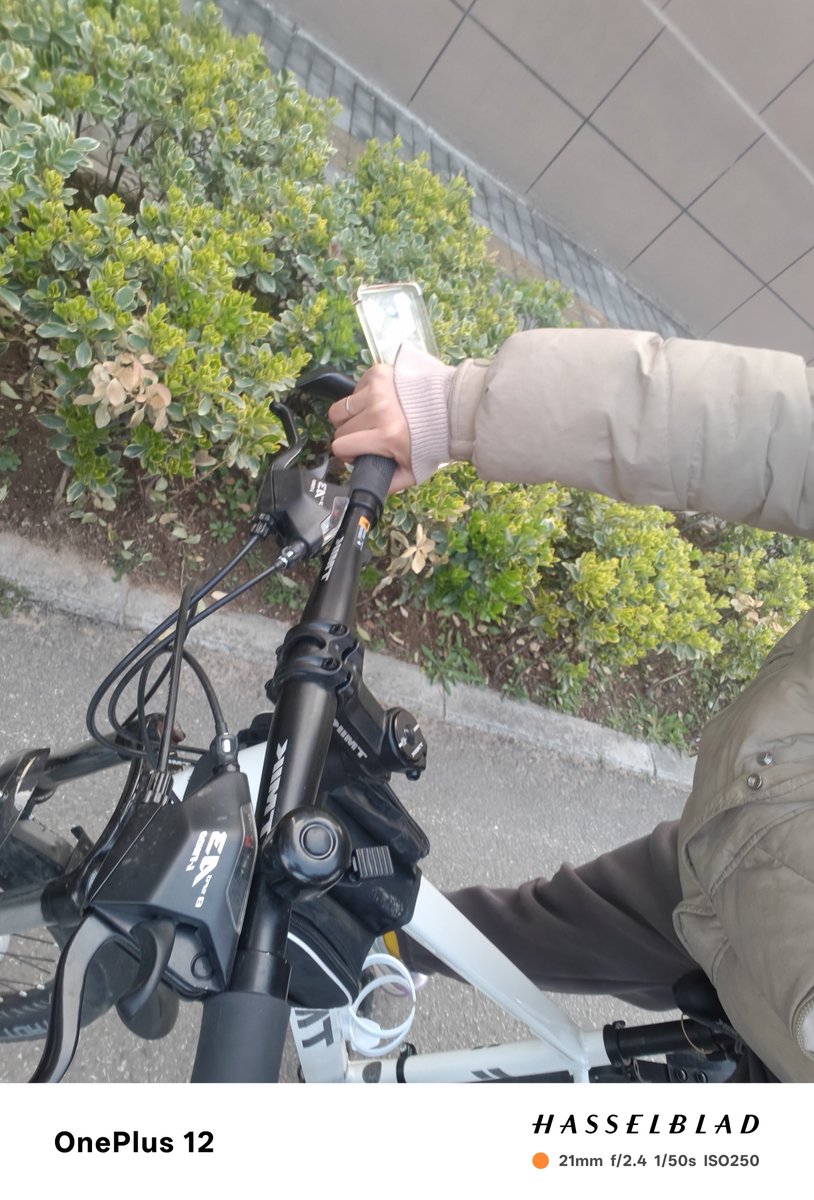 baby 🦅 tweet media