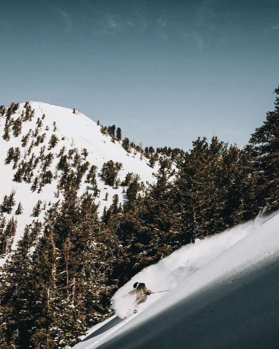 Globizen™️ tweet media