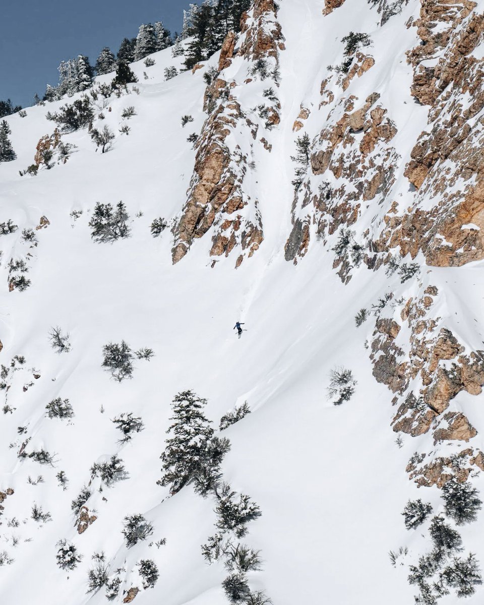 Globizen™️ tweet media