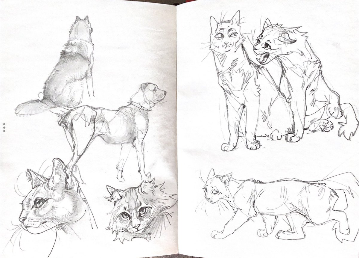 Brokenwingyl翼落 tweet media