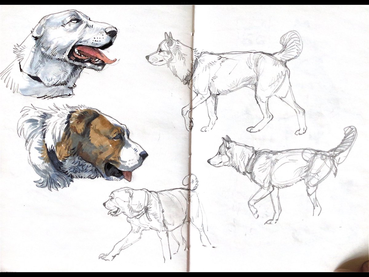 Brokenwingyl翼落 tweet media