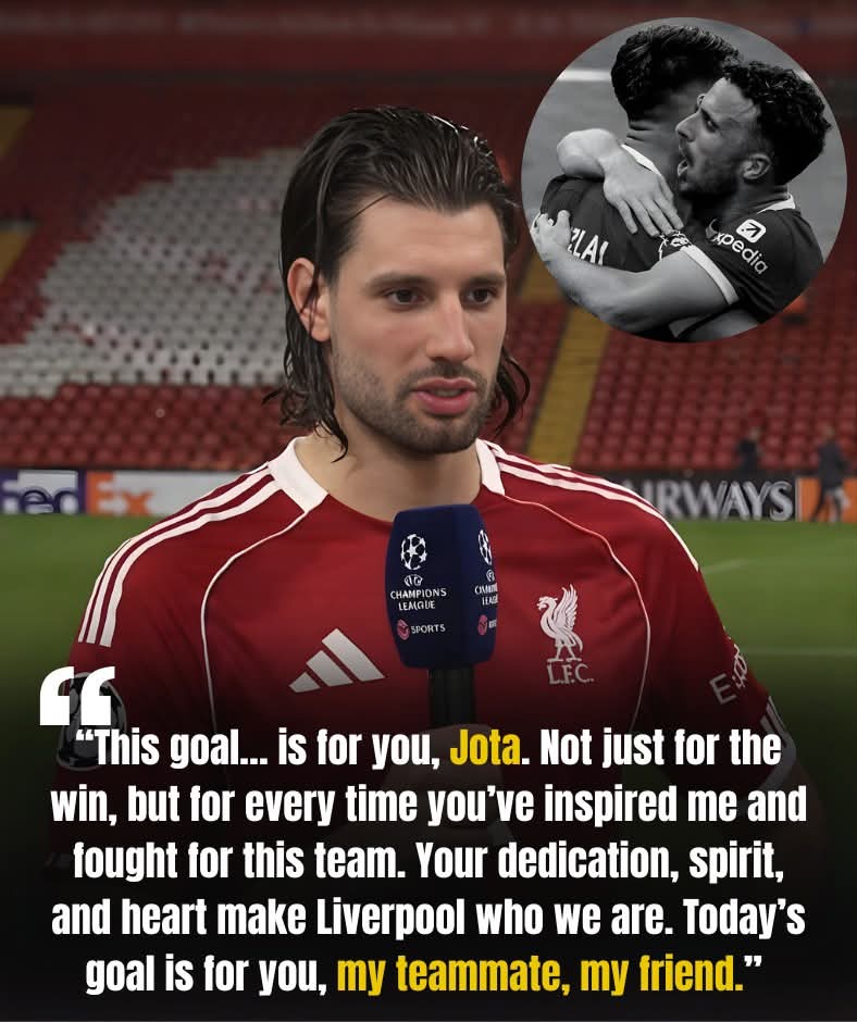 Ricky Healy YNWA 🔴🇮🇪 tweet media