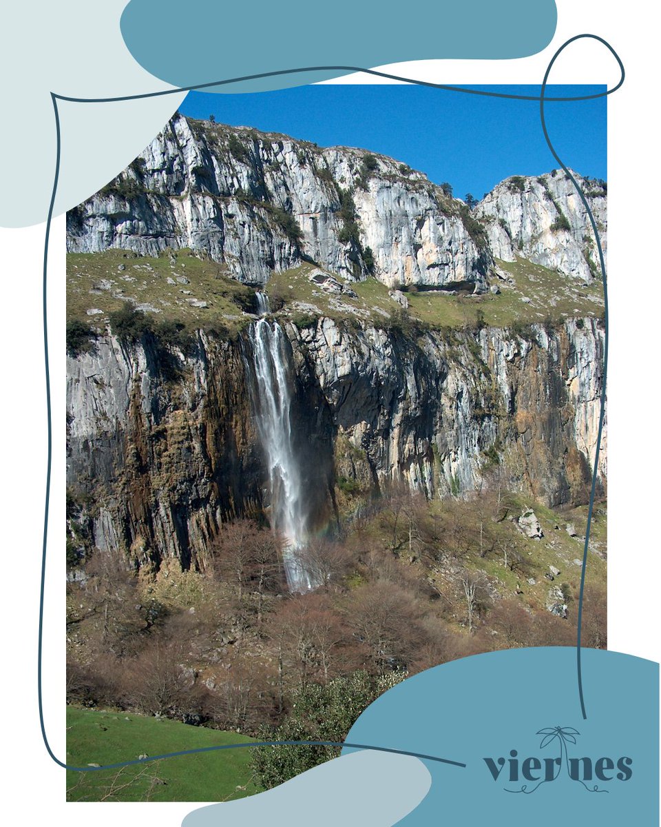 Programa Viernes tweet media