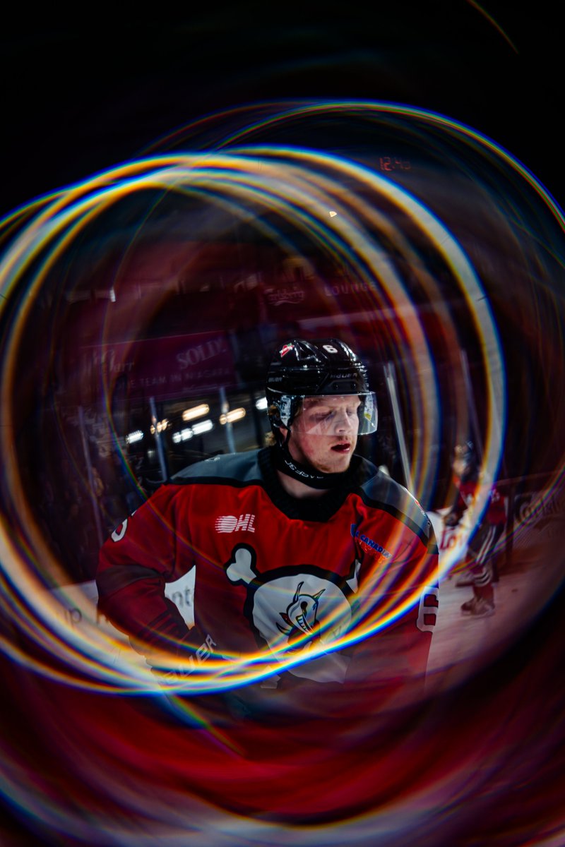 x-Niagara IceDogs tweet media