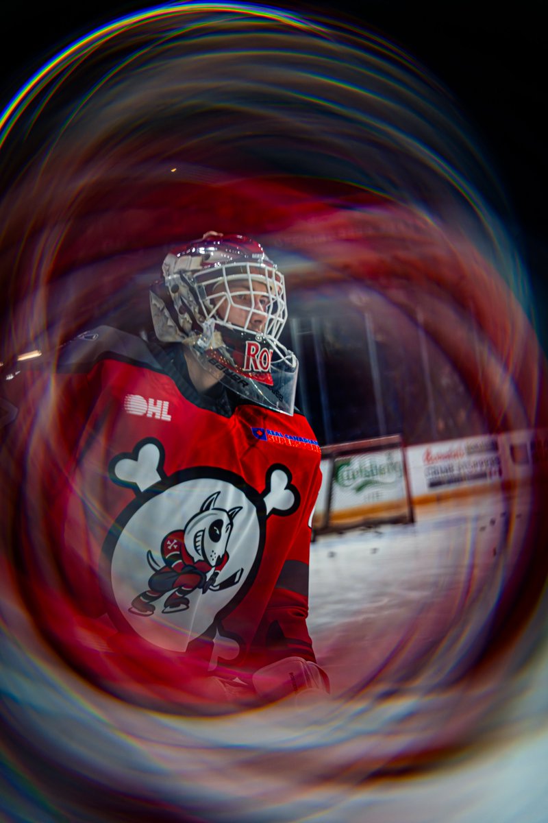 x-Niagara IceDogs tweet media