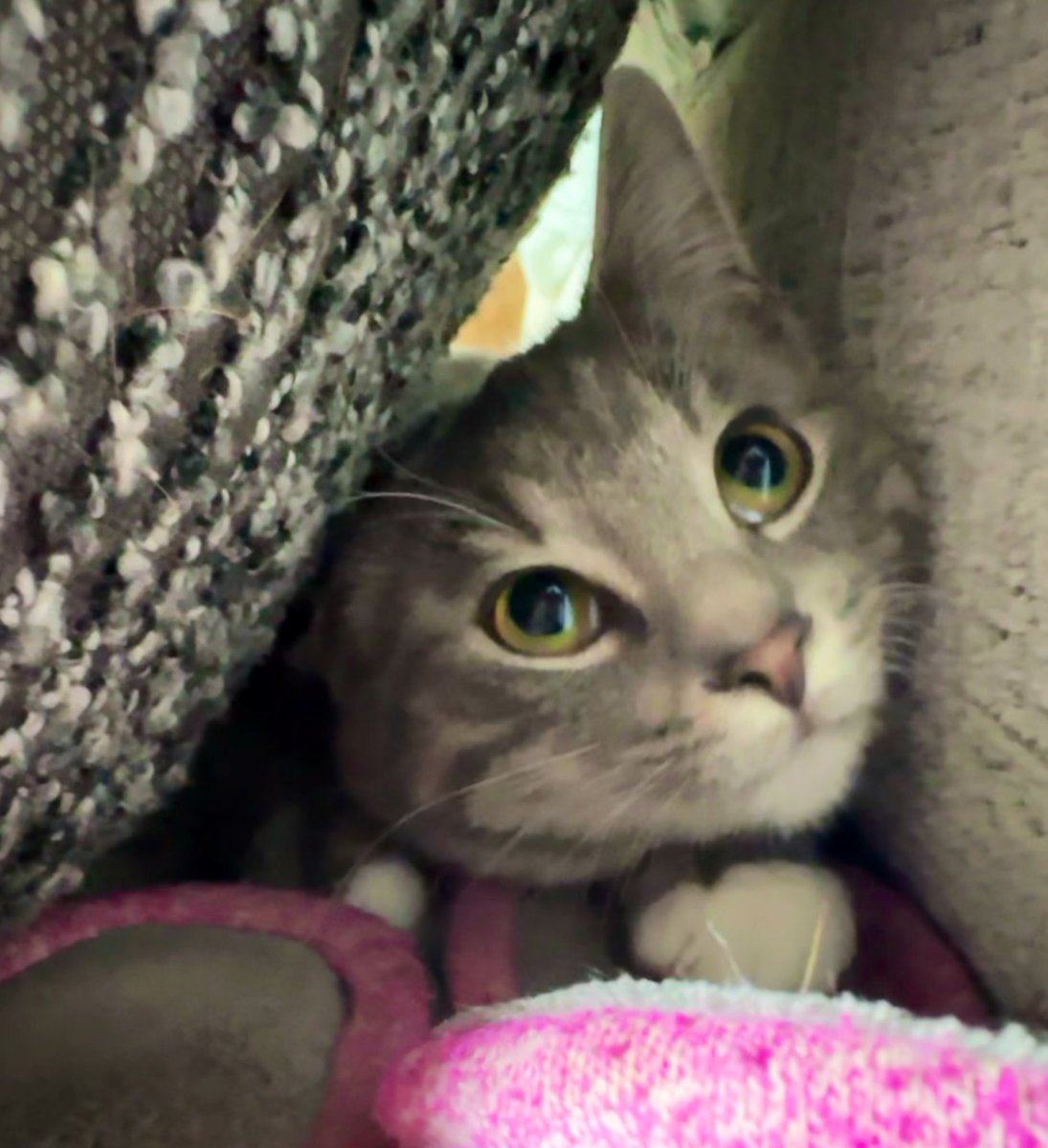 KAT 💕🫶 tweet media