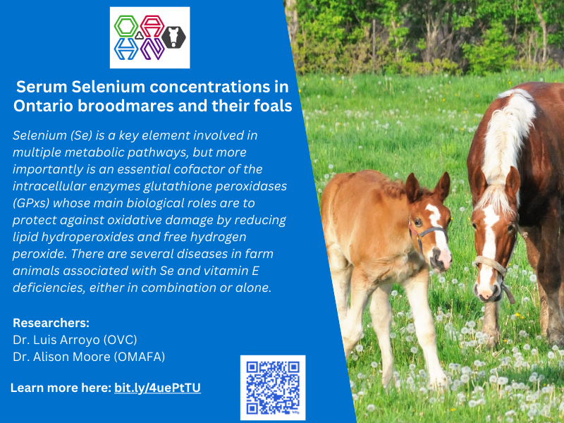 Ontario Animal Health Network tweet media