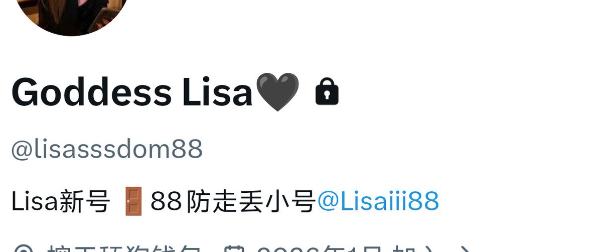 Lisa团队五年运营 tweet media