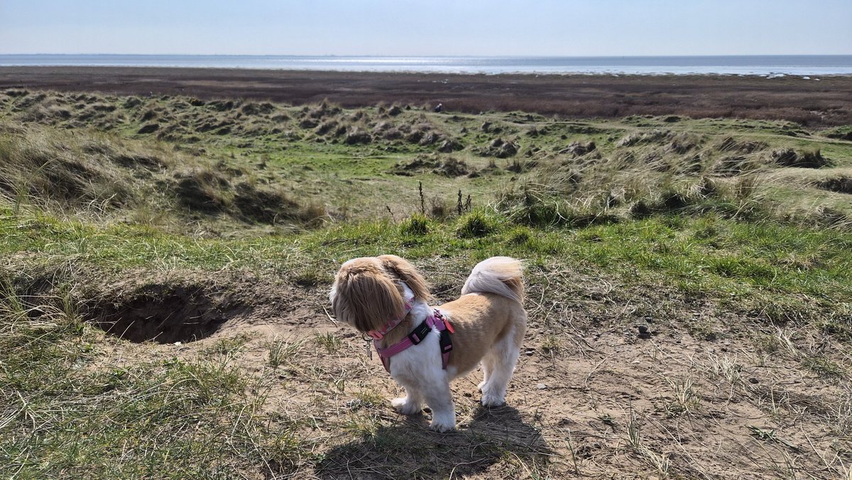 Bella🇬🇧 tweet media