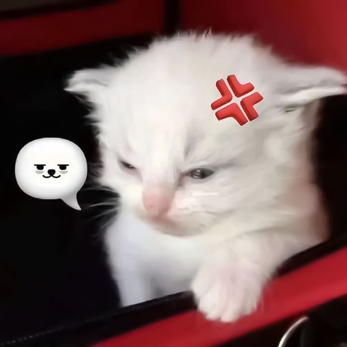 mimi⁷ 🪭 | Tara's girlfriend 💗 tweet media