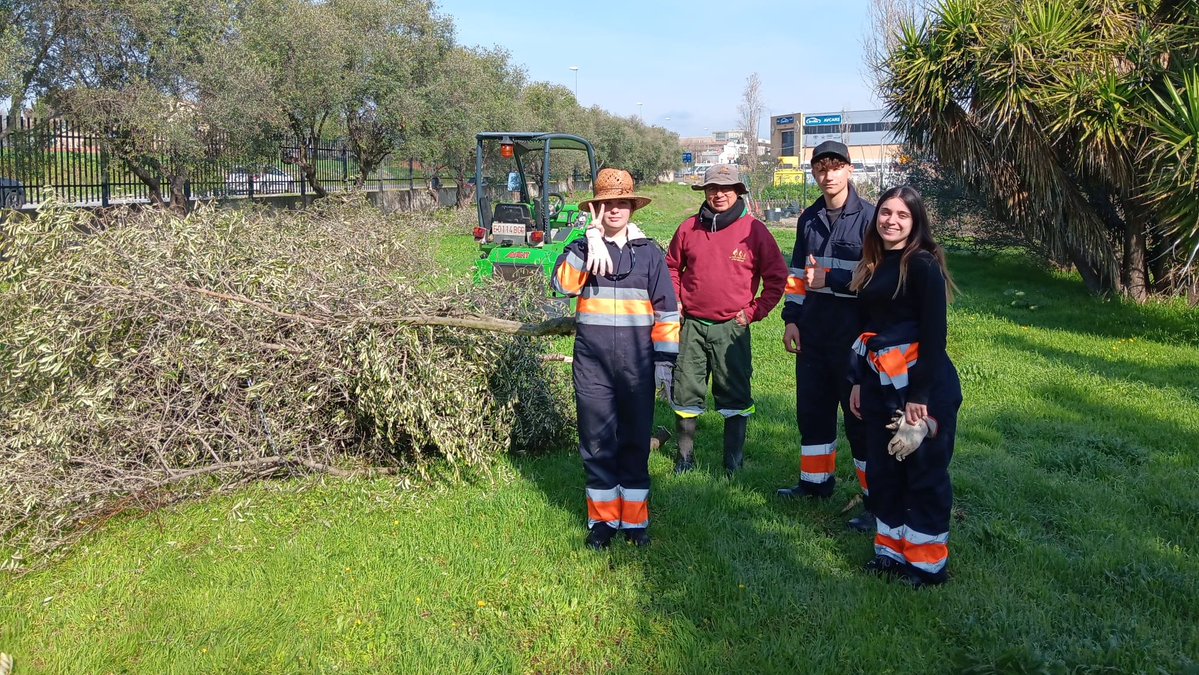 Ripollet Impulsa tweet media