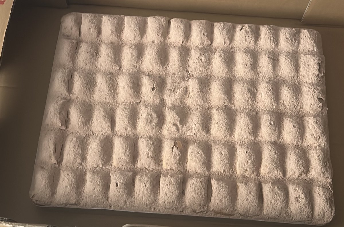 TÜRK 🇹🇷 tweet media