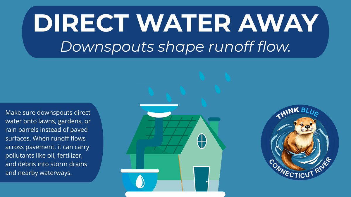 Think Blue Connecticut River tweet media