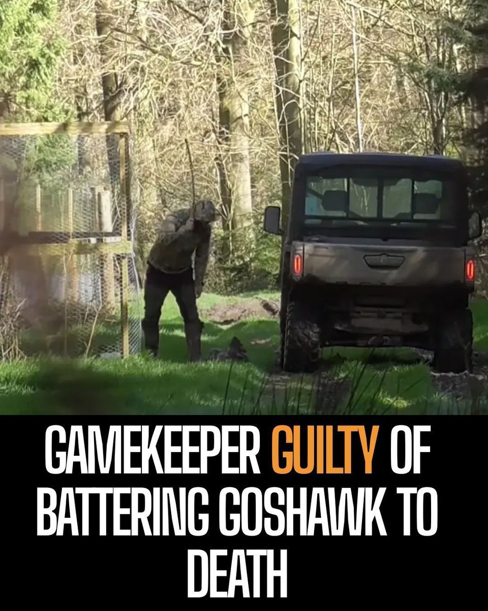 End Bird Shooting tweet media