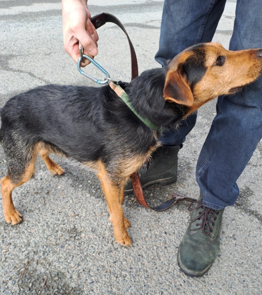 @cornwallcouncil tweet media