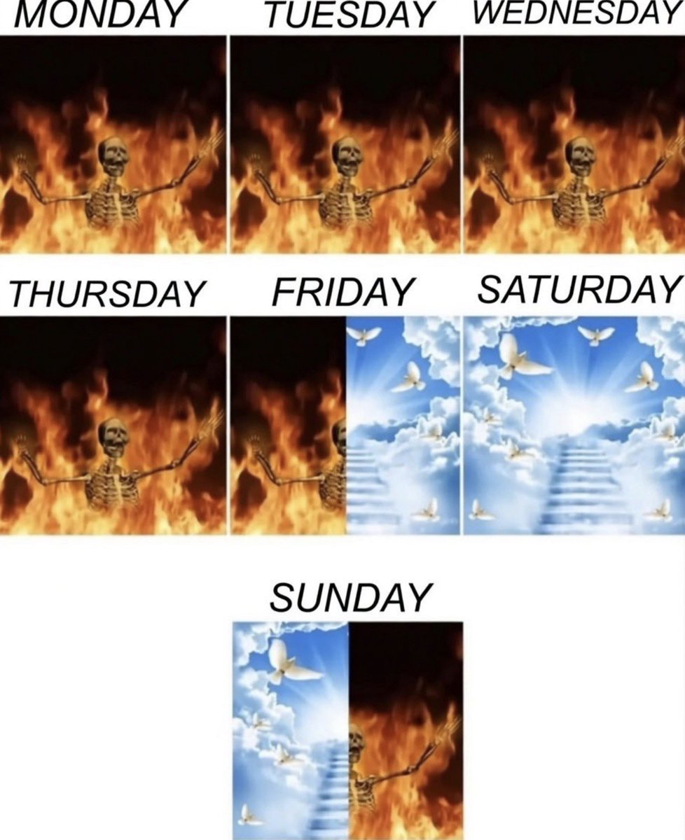 Out of Context Human Race tweet media