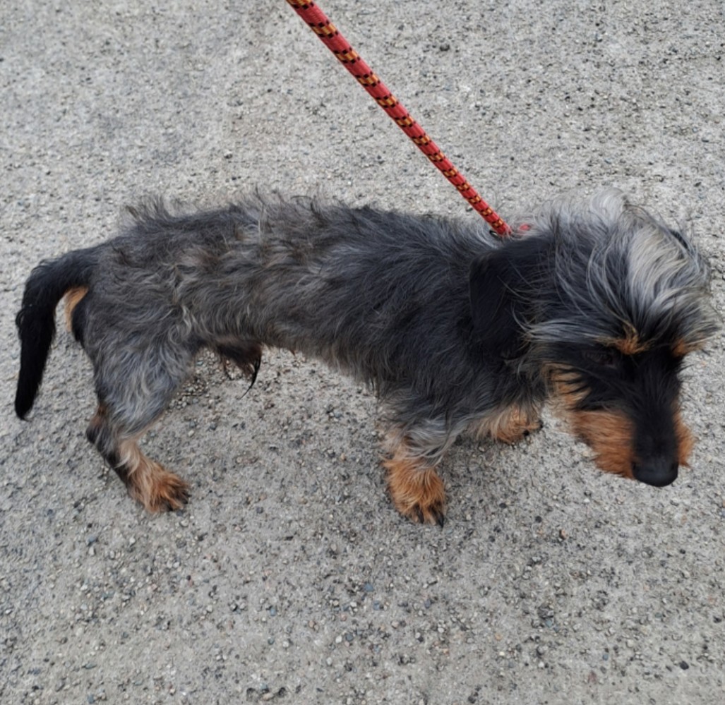 @cornwallcouncil tweet media