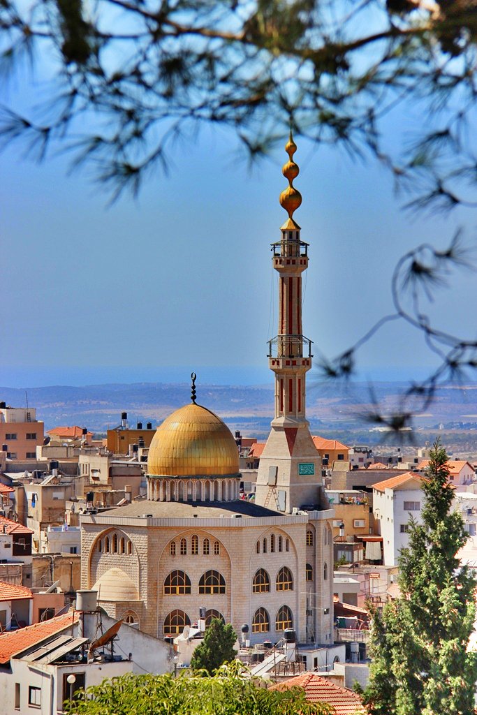 Dr. Reda Mansour tweet media