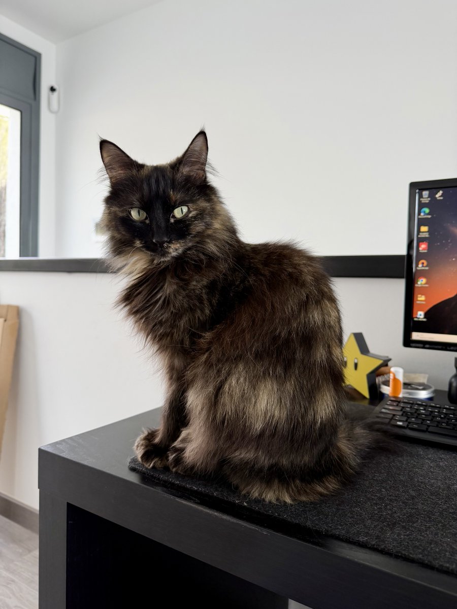 Raval Sud 🐾🏳️‍🌈 ♂ tweet media