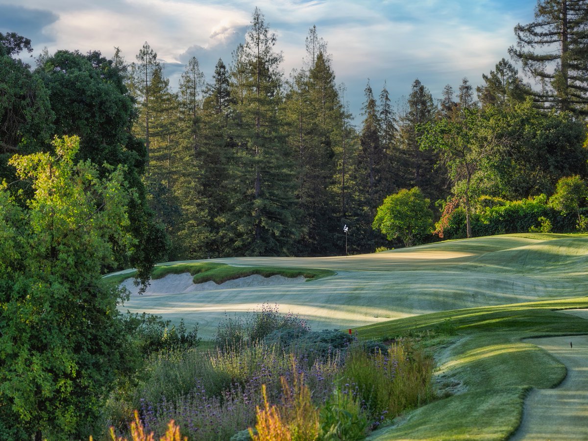 Todd Eckenrode - Origins Golf Design tweet media