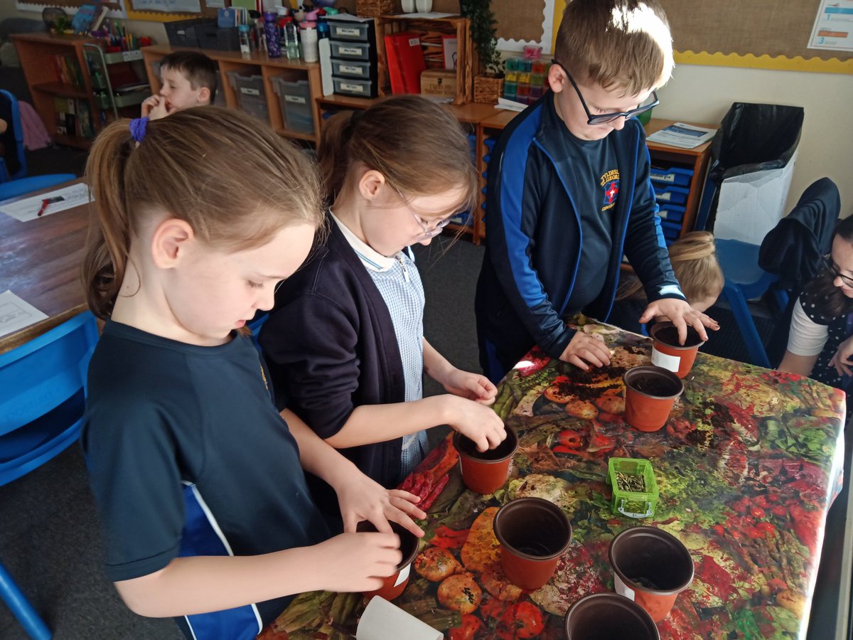 Miss Cohen tweet media