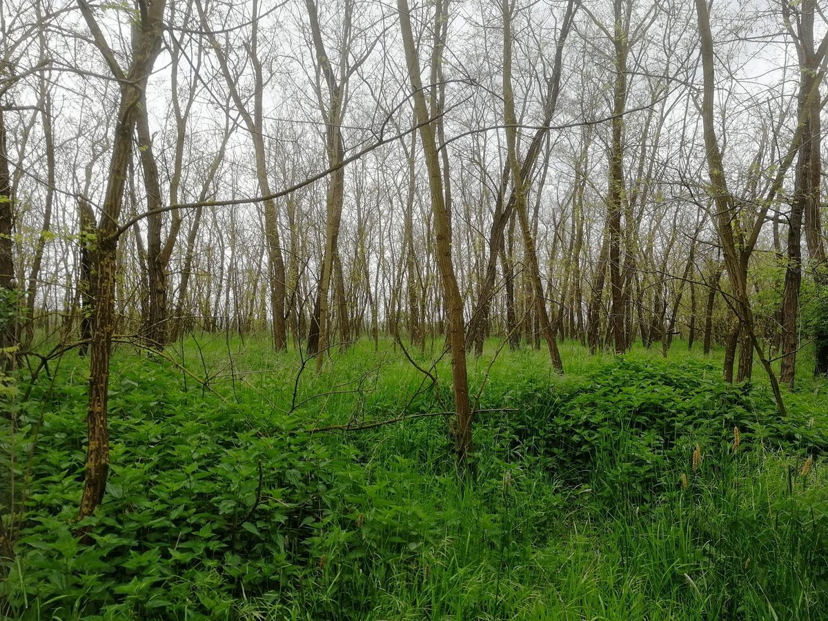 Hlavní město Praha tweet media