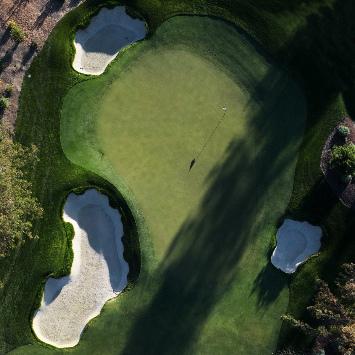 Todd Eckenrode - Origins Golf Design tweet media