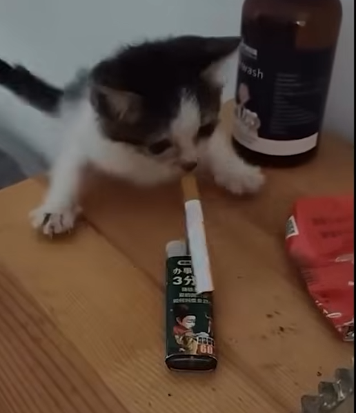 Repulsive tweet media