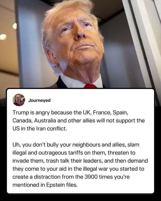 Real Dutchman 🇳🇱🇺🇦🇮🇱 tweet media