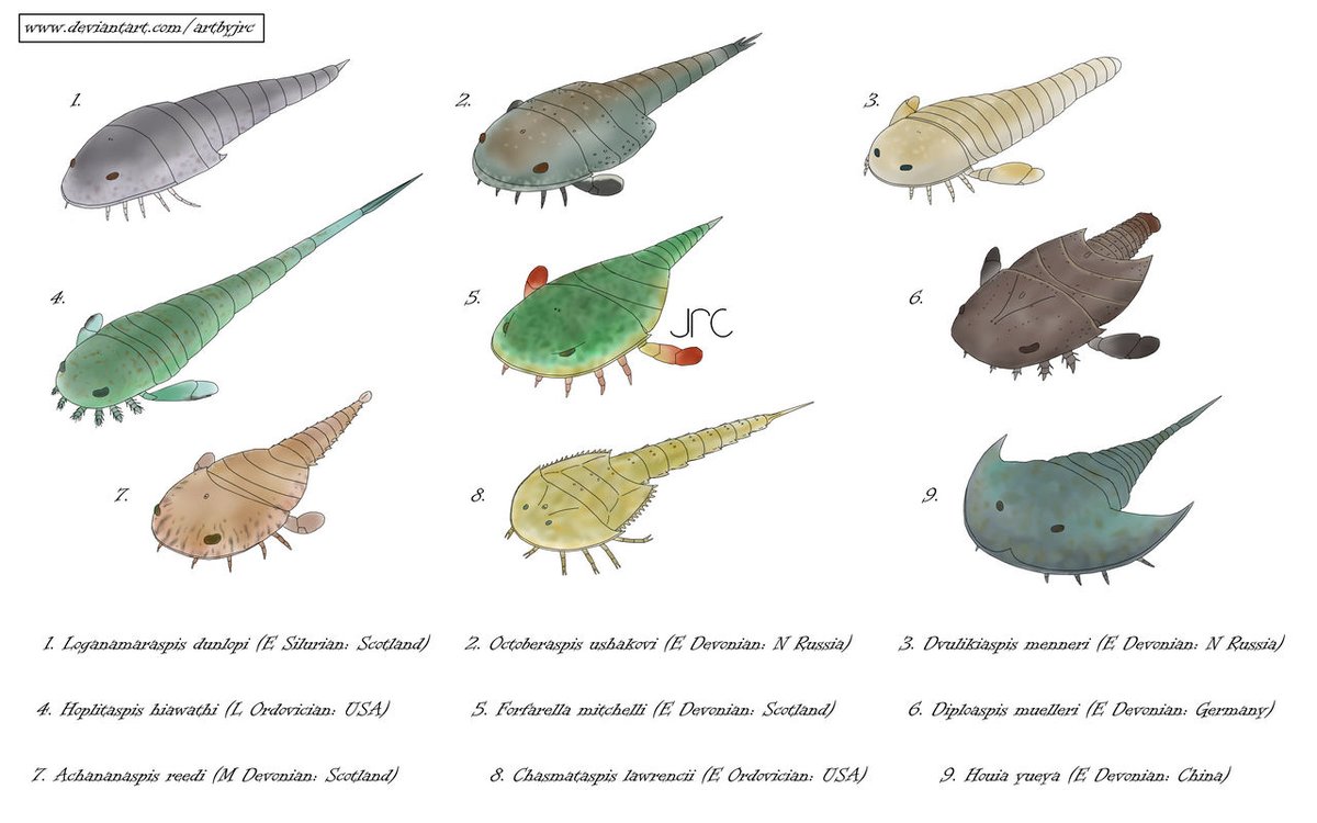 Simon Braddy tweet media