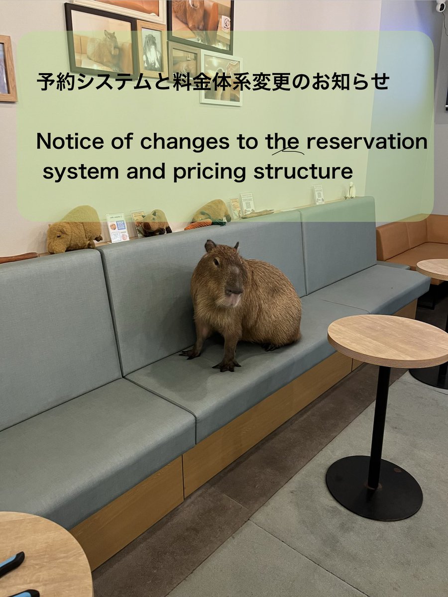 cafe capyba（カピバラカフェ capybara cafe in Tokyo） tweet media