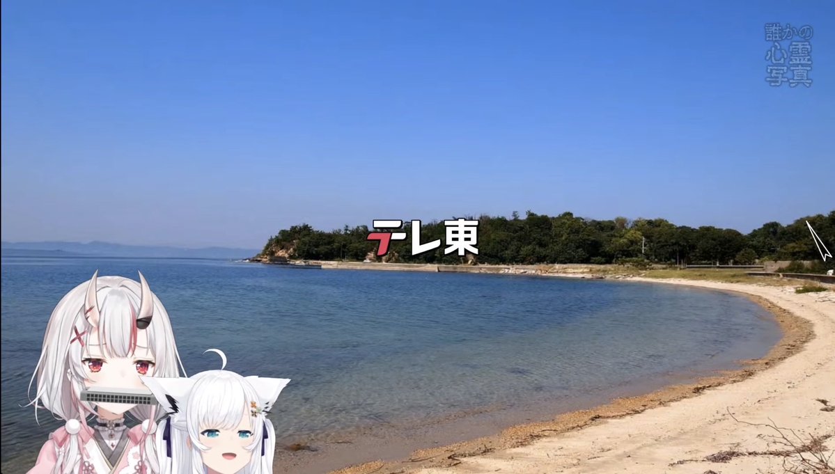 百鬼あやめ😈ホロライブ2期生 tweet media