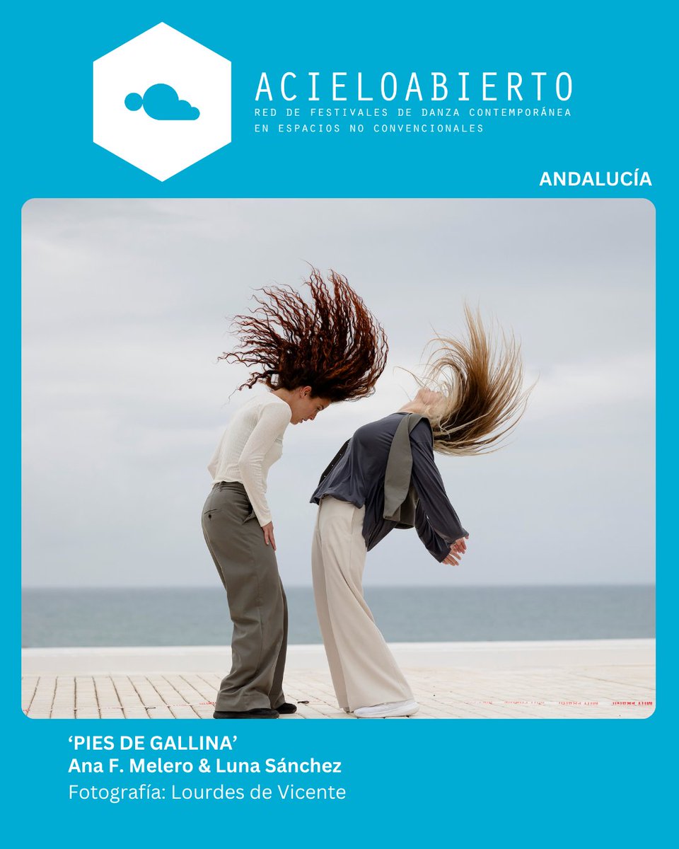 MASDANZA_FEST's tweet photo. Compañías seleccionadas de la Red AcieloAbierto (redacieloabierto) para participar en #31MASDANZA. ¡Enhorabuena! / Companies selected from the AcieloAbierto Network to participate in #31MASDANZA. Congratulations! https://t.co/4btKlPM4SQ