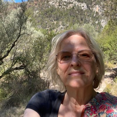 Ran Goldman tweet media