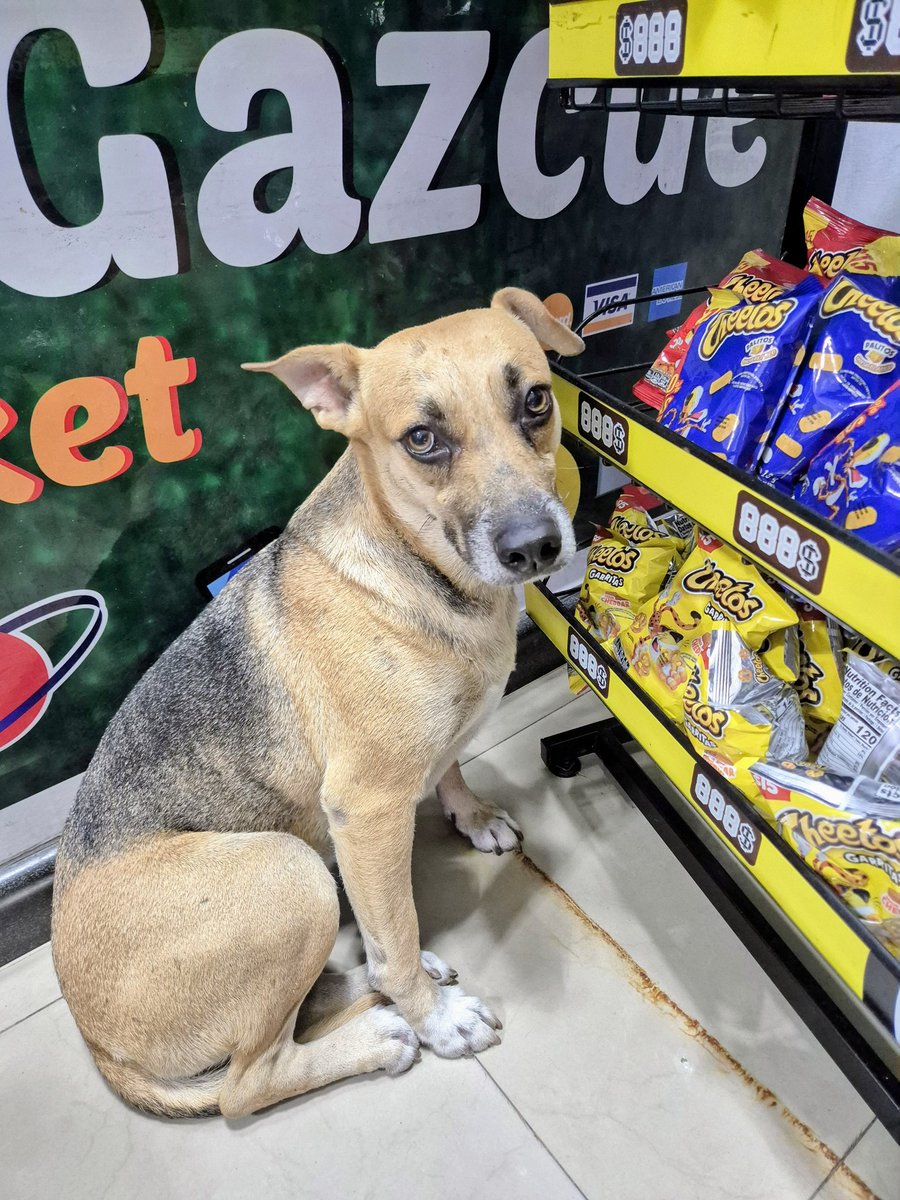 Blas Sanchez tweet media