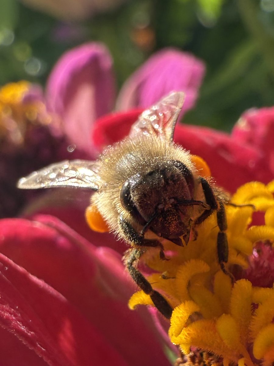 Susann✈️🌏 tweet media