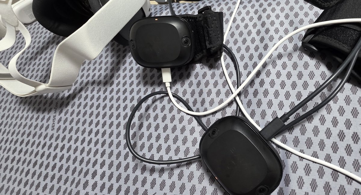 모래늑대🐺 tweet media