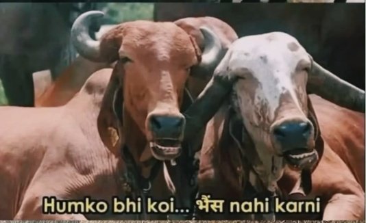 VIR€ (वीरे) 🚩 tweet media