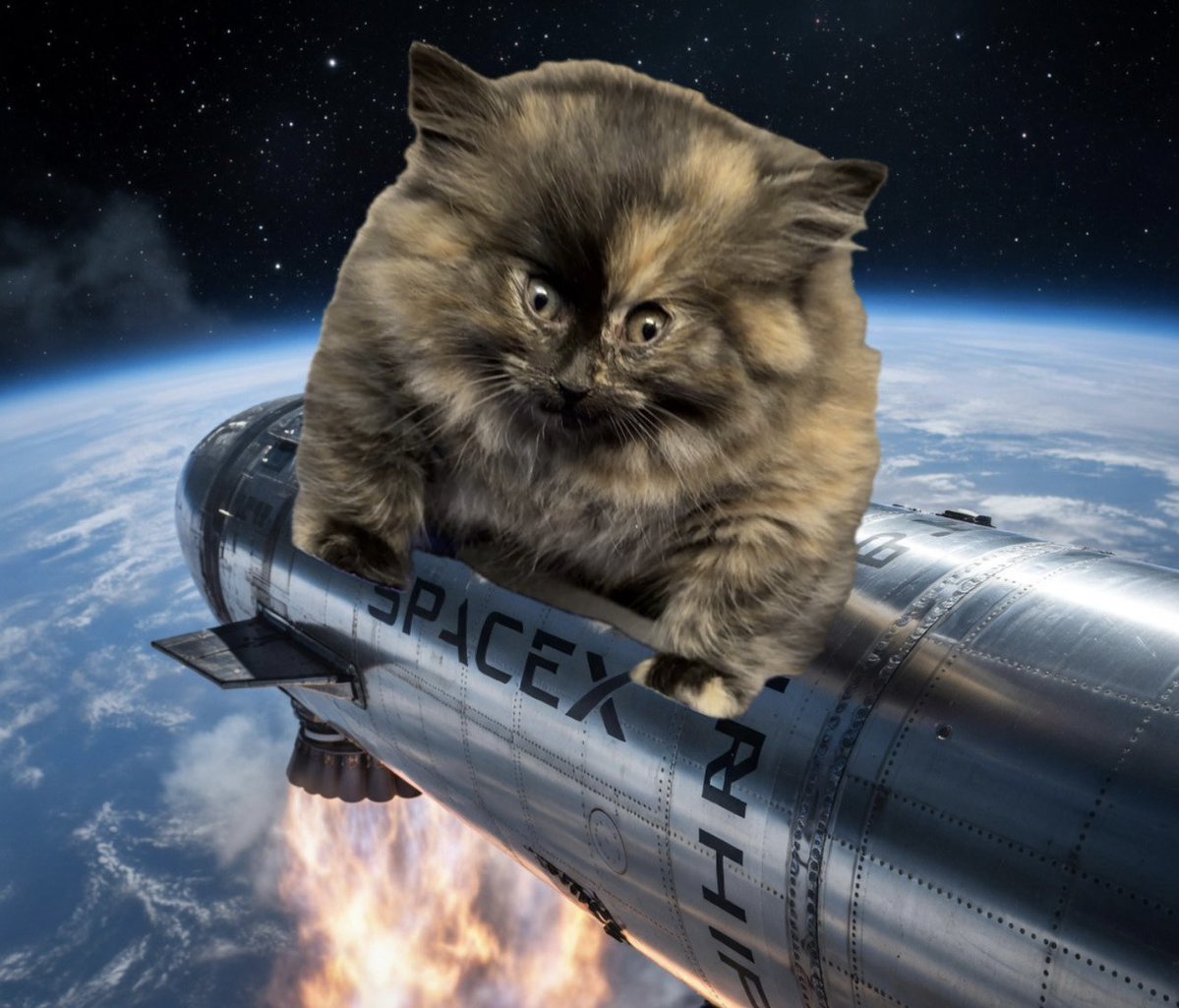 Puff Kitty tweet media